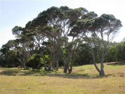 Fifth view of Homely rural property listing, Lot 3725 Thompson Road, Albany WA 6330