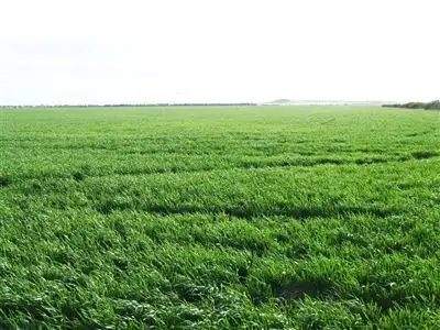 Third view of Homely rural property listing, Address available on request