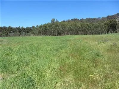 Fourth view of Homely rural property listing, 588 Mansfield Road, Euroa VIC 3666