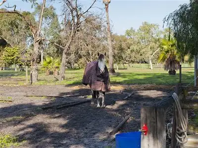 Fifth view of Homely house listing, 52 Jannali Road, Furnissdale WA 6209