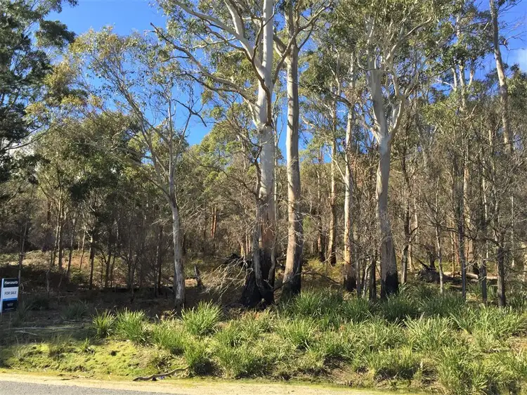 . Gladstone Road, Pioneer TAS 7264