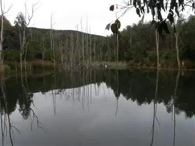 Third view of Homely rural property listing, 33152 Tasman Highway, Legerwood TAS 7263