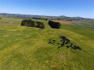 Fifth view of Homely rural property listing, 2041 Werona Kingston Road, Blampied VIC 3364