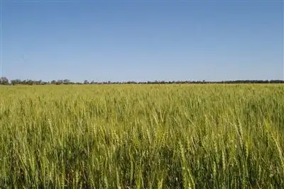 Main view of Homely rural property listing, . Loch Adair, Boomi NSW 2405