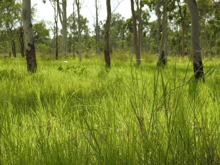 Third view of Homely rural property listing, Address available on request