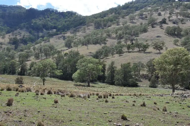 Seventh view of Homely rural property listing, . "East Towarri", Kars Springs Rd, Scone NSW 2337