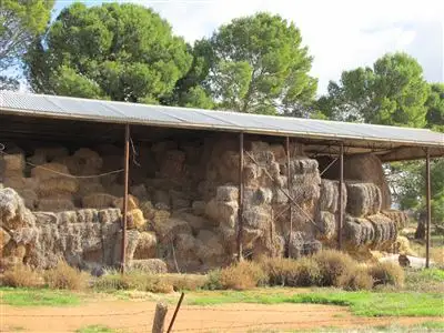 Seventh view of Homely rural property listing, 688 Minburra Road, Orroroo SA 5431