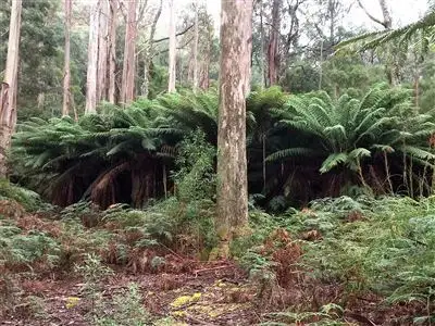 Sixth view of Homely land listing, 73 Holders Road, Patersonia TAS 7259