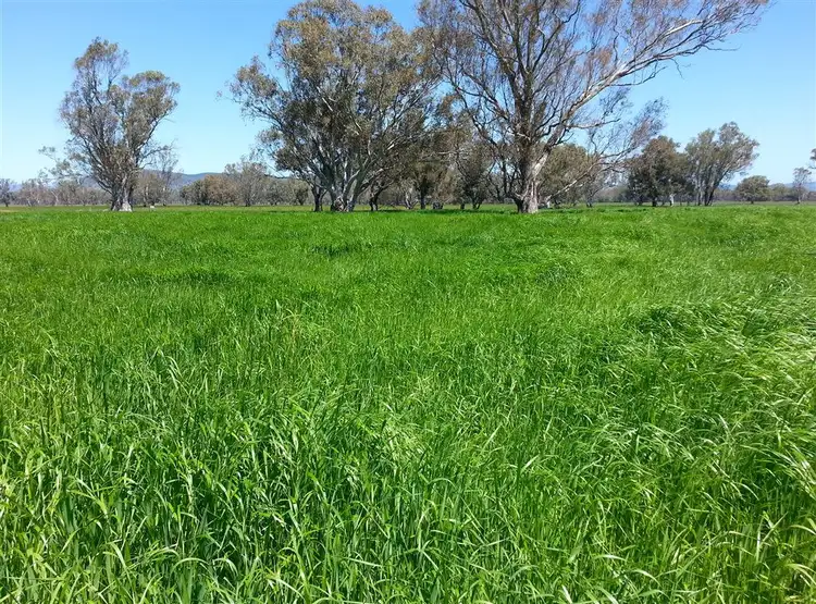 Seventh view of Homely rural property listing, 85 Dobson Road, Benalla VIC 3672