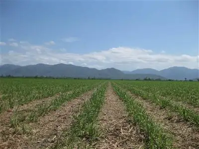 Main view of Homely rural property listing, Address available on request