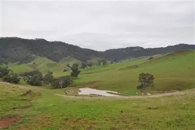 Main view of Homely rural property listing, 1662 Sandy Creek Rd, "Quince Tree", McCullys Gap via, Aberdeen NSW 2336