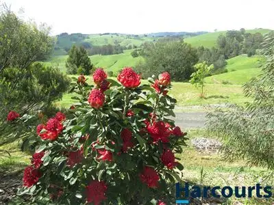 Fourth view of Homely rural property listing, 1850 Korumburra Warragul Road, Strzelecki VIC 3950
