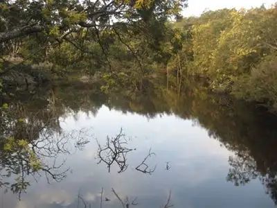 Third view of Homely rural property listing, - Lanka Road, Pioneer TAS 7264