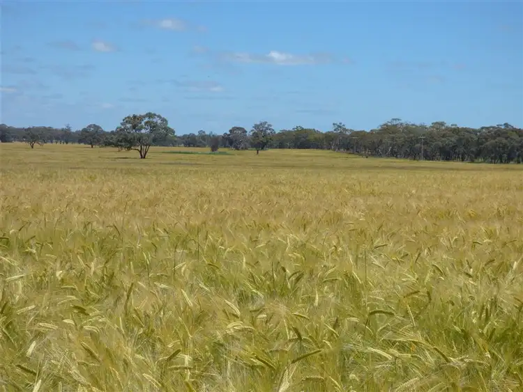 Fifth view of Homely rural property listing, 2481 Natimuk- Frances Road, Gymbowen VIC 3401