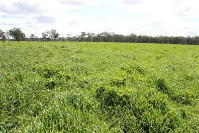 Fifth view of Homely rural property listing, 4127 Sunraysia Highway, Lexton VIC 3352