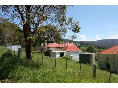 Main view of Homely house listing, 317 Lottah Road, Goulds Country TAS 7216