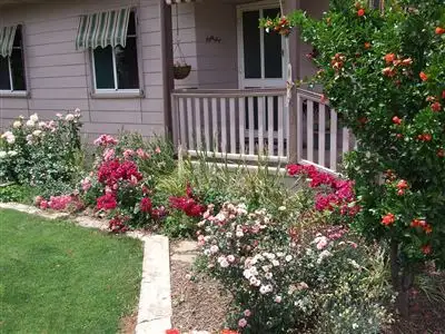 Second view of Homely house listing, 21 Clifton Road, Jamestown SA 5491