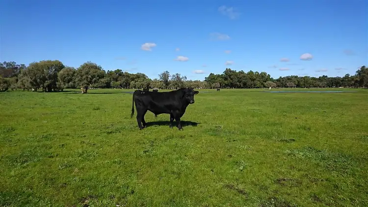 Fourth view of Homely rural property listing, Lot 2113 Brand Highway, Gingin WA 6503