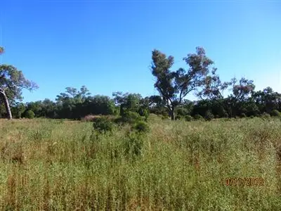 Sixth view of Homely rural property listing, 560 Laroo Road, Hermidale NSW 2831