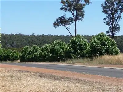 Third view of Homely land listing, Lot 201 Emerson Ave, Bridgetown WA 6255