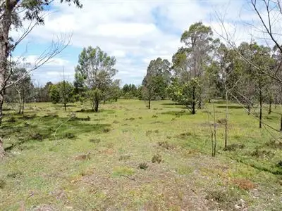Sixth view of Homely rural property listing, 173 Regulating Basin Road, Mafeking VIC 3379