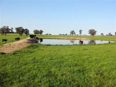 Second view of Homely rural property listing, 501 Forest Road, Wilby VIC 3728