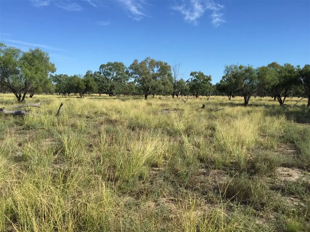 Main view of Homely rural property listing, Address available on request
