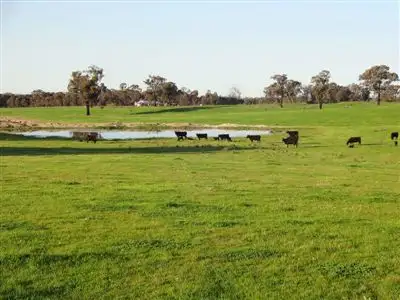 Third view of Homely rural property listing, 501 Forest Road, Wilby VIC 3728