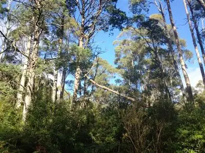 Main view of Homely rural property listing, 540 Davis Gully Road, Four Mile Creek TAS 7215