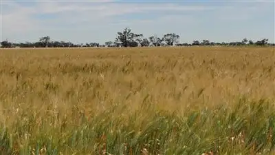 Second view of Homely rural property listing, 288 Lillimur Yearinga Rd, Kaniva VIC 3419