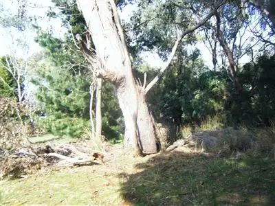 Fourth view of Homely land listing, 24 Foreshore Road, Swan Point TAS 7275