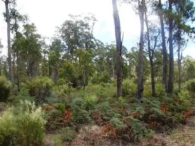 Second view of Homely rural property listing, . Bridport Road, Jetsonville TAS 7260