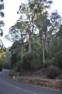 Sixth view of Homely land listing, . Sisters Beach Road, Sisters Beach TAS 7321