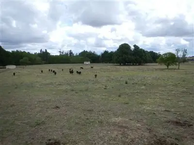 Main view of Homely rural property listing, GRANTHAM URALLA-ENMORE ROAD, Uralla NSW 2358