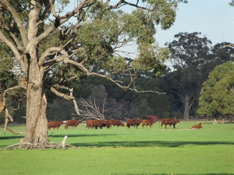 Seventh view of Homely rural property listing, 1011A Katamatite Nathalia Road, Waaia VIC 3637