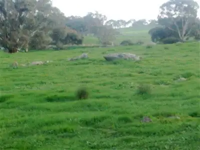 Main view of Homely rural property listing, Address available on request