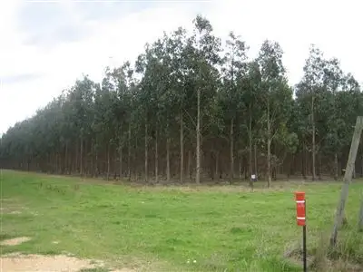 0 Giffard West Road, Giffard VIC 3851