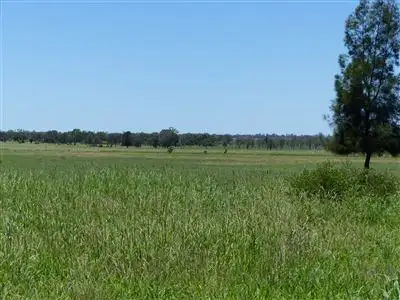 Fifth view of Homely rural property listing, . "Redmarley", Condamine QLD 4416