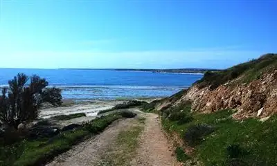 Fourth view of Homely house listing, 19 Standfield Road, Aldinga Beach SA 5173