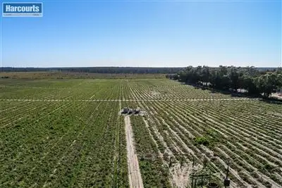 Sixth view of Homely land listing, 247 Carabooda Road, Carabooda WA 6033