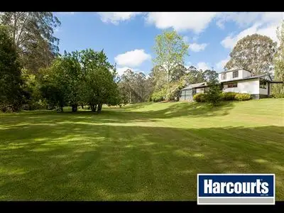Fourth view of Homely rural property listing, 155 Beards Track, Shady Creek VIC 3821