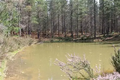 Second view of Homely rural property listing, Lot 4 Tally Ho Road, Braidwood NSW 2622