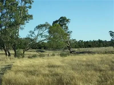 Fourth view of Homely rural property listing, 146 Finnings Rd, Elphinstone VIC 3448