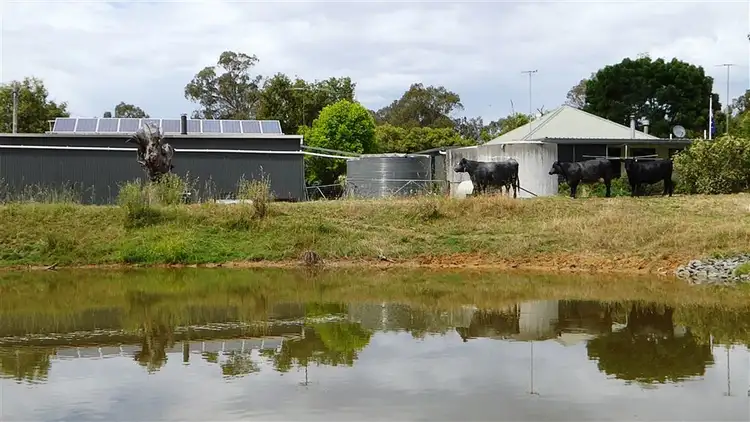 Fourth view of Homely rural property listing, 3354 Urana Rd, Burrumbuttock NSW 2642