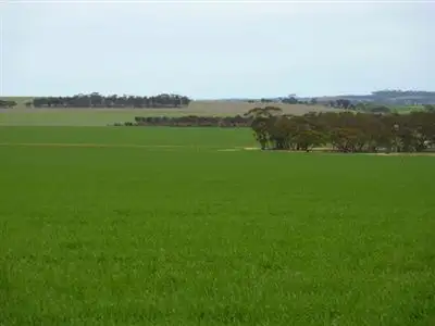 Second view of Homely rural property listing, Address available on request