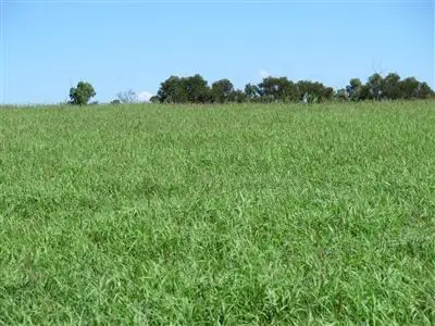 Second view of Homely rural property listing, . Ridgley, Taroom QLD 4420