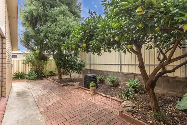 Third view of Homely unit listing, 5/3 Elford Street, Kensington Gardens SA 5068