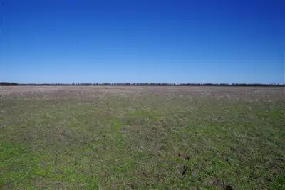 Seventh view of Homely rural property listing, 283 Ison Road, Narrabri NSW 2390