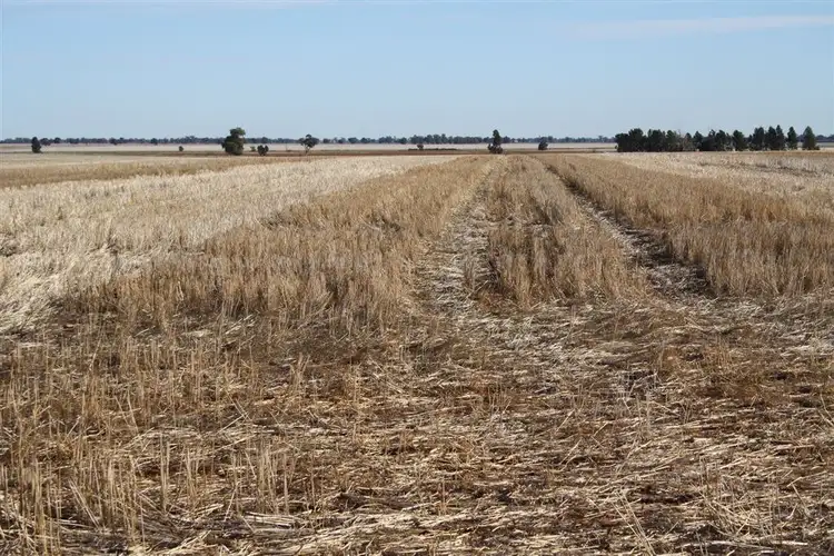 Fifth view of Homely rural property listing, 4978 Mitchell Highway, Narromine NSW 2821