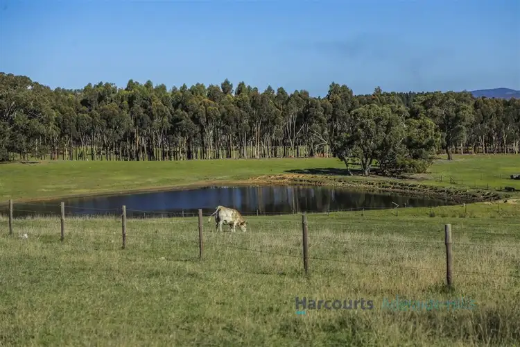 Seventh view of Homely rural property listing, 355 Black Snake Road, Cromer via, Birdwood SA 5234